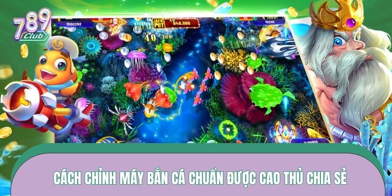 Cách chỉnh máy bắn cá chuẩn được cao thủ chia sẻ